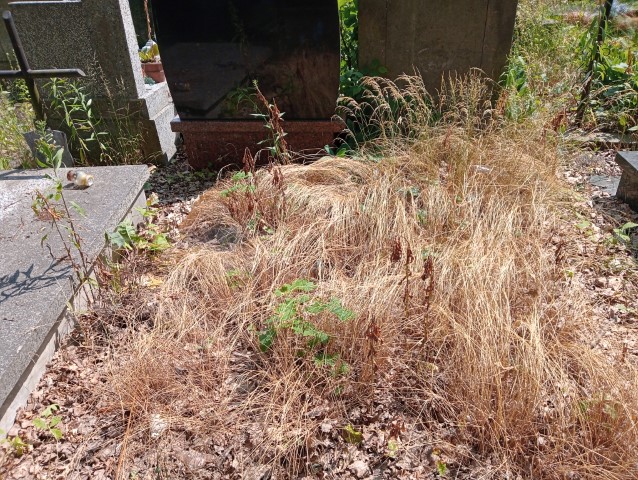 Zbigniew Kwiatkowski 1962 Piaseczno - Grobonet - Wyszukiwarka osób pochowanych